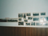 IMG_20200324_0005