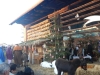 JASLICE 25.12.2017 (40) (Medium)