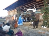 JASLICE 25.12.2017 (43) (Medium)