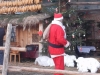 JASLICE 25.12.2017 (96) (Medium)