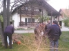 20170413_190845 (Medium)