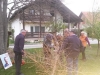 20170413_190918 (Medium)