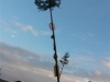 20161110_161432 (Medium)