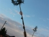 20161110_161437 (Medium)