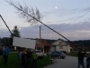 20161110_162957 (Medium)