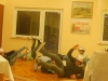 MATERINSKI DAN 2019 (37)