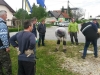 20170426_171455 (Medium)
